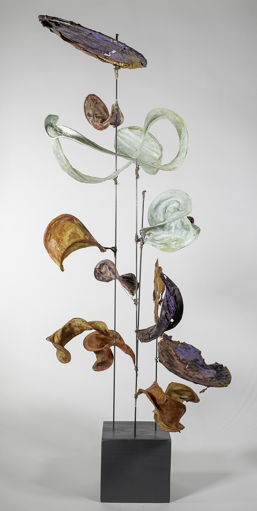 If Peace Grew on Trees by Robin Jourdan