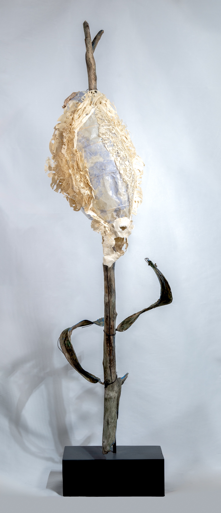 She Persists by Robin Jourdan