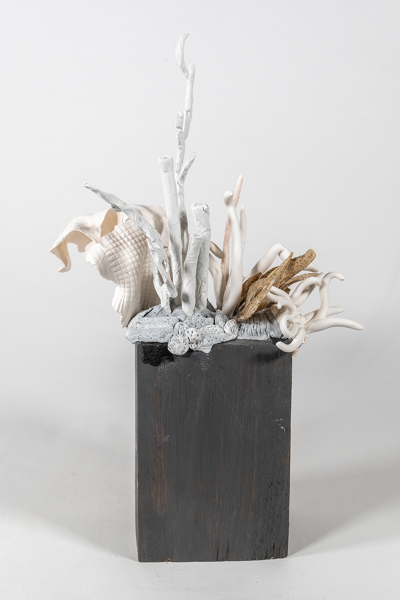 Coral It Be by Robin Jourdan