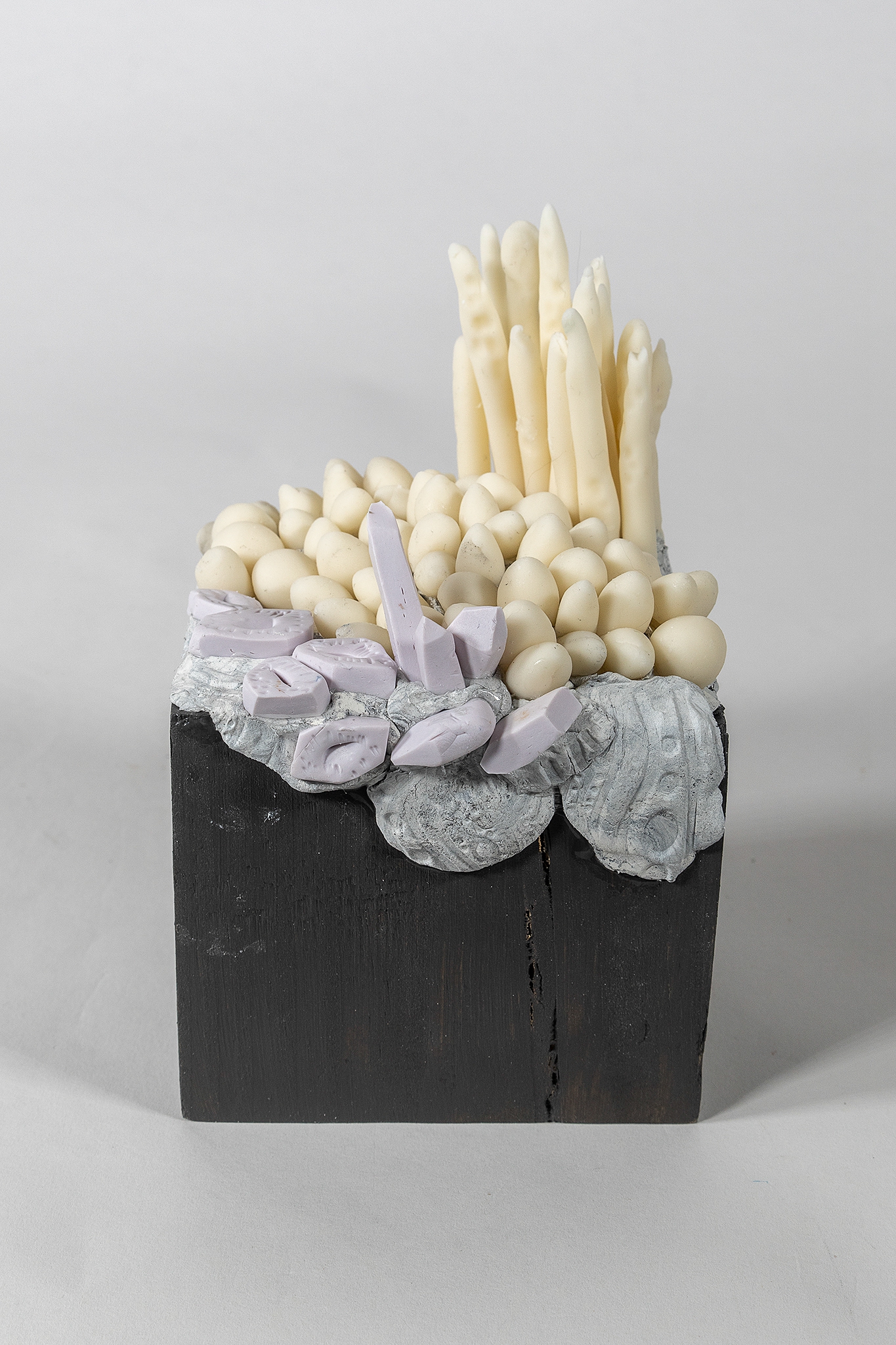 Caviar Nursery by Robin Jourdan