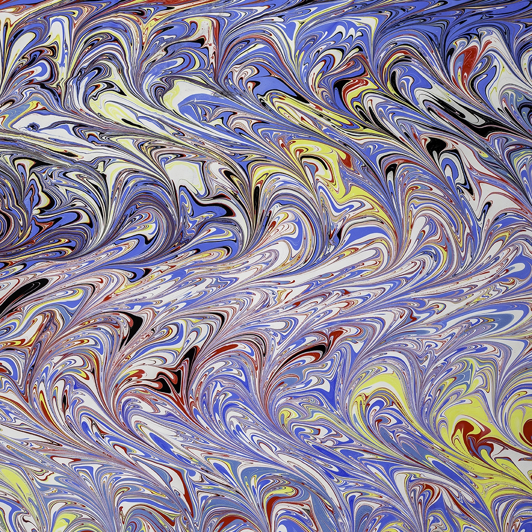 Shimmering by Robin Jourdan